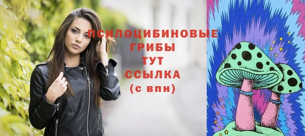 MESCALINE Аркадак
